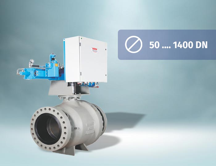 Trunnion Mounted Ball Valve